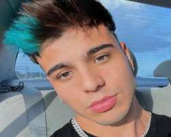 Sebastian often colors his hair into different shades.